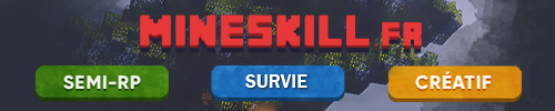 MINESKILL.FR