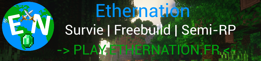 Ethernation